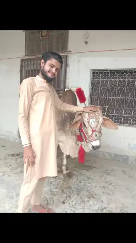 #Youfor #Cow #Good #Love   