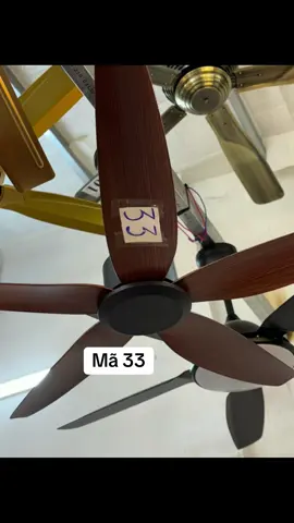 Chốt nhanh các bác ơi… mẫu quạt không đèn đơn giản mà lại mát #quattran #tongkhoquatdendenchum #mã33 