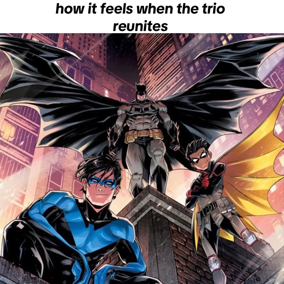 #batman #robin #nightwing #arkhamknight #bro #relatable #fyp 