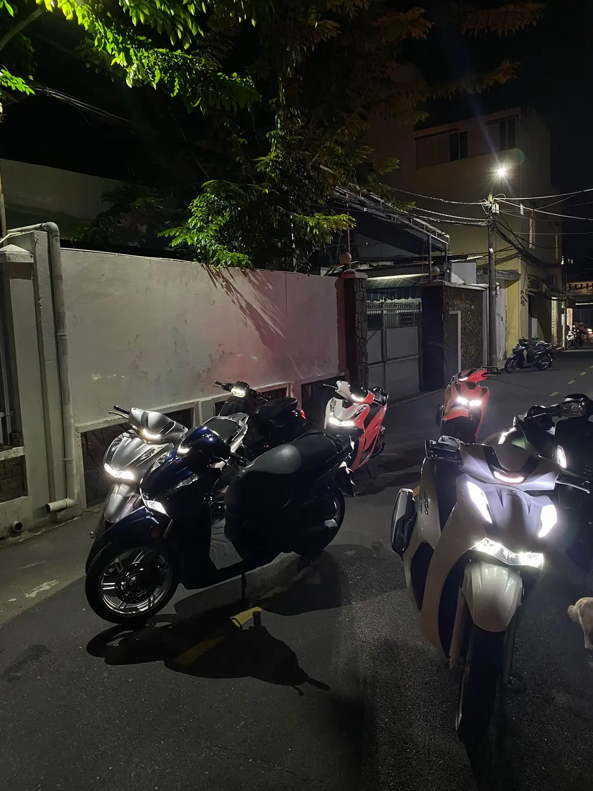 #fypシ #sh350i #xh #southvietnamscooterteam🇻🇳 #daopho #chill 