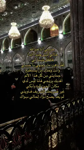 يا سيدي يا أبا عبدالله 🤍! #الحسين #كربلاء 