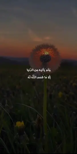 قال صل الله عليه وسلم....🤍🍂 #خواطر🤍🎧🖤 #اكسبلورexplore #oops_alhamdulelah #فلسطين #muslim #هدوء #لايك #حديث #ستوريات_انستا #ستوريات #اقتباسات #الله #خواطر 