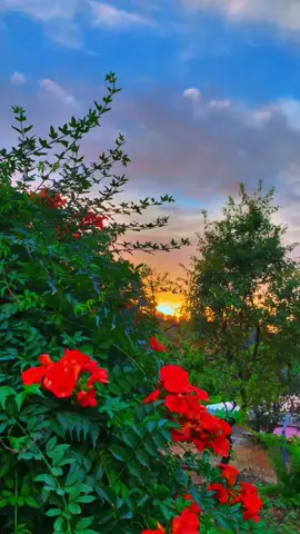 #darbotki #fypシ #💙hasiba ve evre 🌄😍