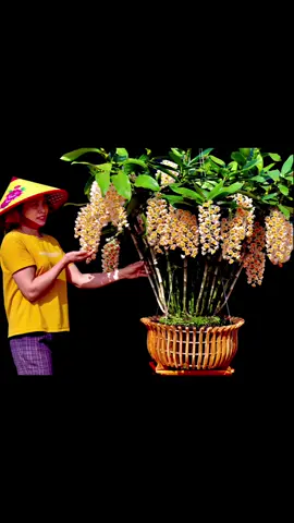 Nhìn tác phẩm Kiều này nhiều người lại bảo là em ghép#yeuhoalan #xuhuong #fypシ 