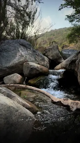قناتي تليجرام بالبايو✨🤍#تصويري📸 #تصميمي🎬 #ريان_المحيسني #راحة_نفسية #مناظر_طبيعيه #صيف_الجنوب 