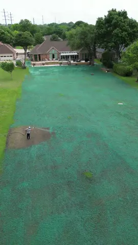 Hydroseeding Bermuda grass 💦🌱 #savemoney #newlawn #growgrass #lawntok #vanalstynetx #josephinetx #nevadatx #guntertx #hydromulching 