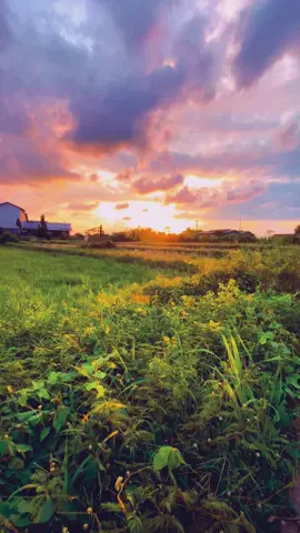 Begitulah Hidup Selalu Dihadapkan Dengan Pilihan,,, #sunset #fyp #sadstory #fypシ゚viral #soundviral #story #senjasorehari #semogafyp 