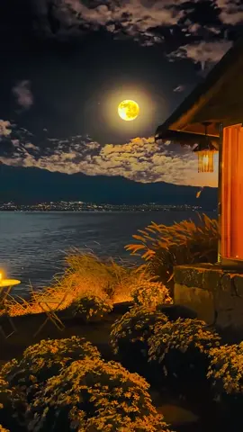 Landscape and Sea Live Wallpapers Photos #landscape #sea #sun #night #wallpapers #bestwallpapers #videowallpapers #newwallpapers #livewallpapers #livephotos #nature 
