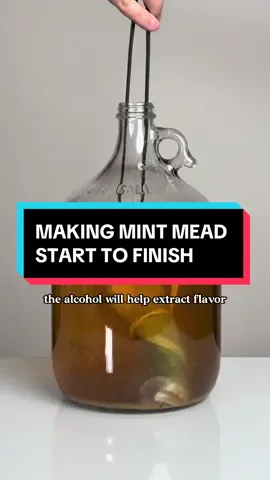 What should I make next? #mead #homebrewing #honeywine #meadtok 