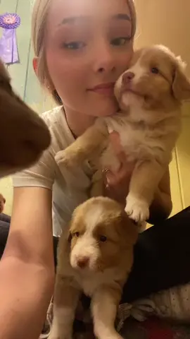 girl with puppies !! #viral #rpmodels #rpaccount #blowthisup #makemetiktokfamous #fypppppppppppppppppppppppppp #fyp 
