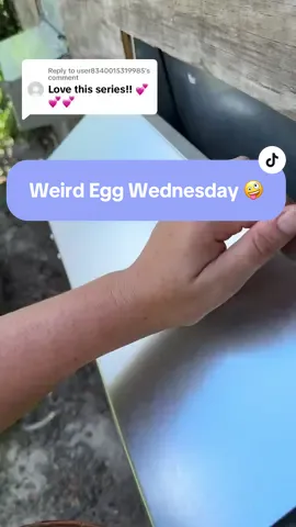 Replying to @user8340015319985 Chickens are so wacky and interesting! #weirdegg #weirdeggs #eggs #keepitweird 