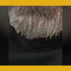 🤩 ¡Las canas no son un problema! 🧴 Nuestro Jabón orgánico está formulado para resolver instantáneamente a aquellos que desean restaurar su color de cabello natural saludable y brillante. 😁 ¡Éxito mundial! 🎯¡Precio especial por tiempo limitado! NO TE QUEDES SIN EL TUYO