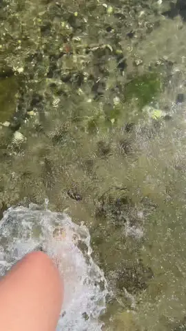 this is VERY niche, but one of my favorite sounds is hearing someone walking through water. so here it is for those water sounds lovers like myself. im glad i didnt step on a crab 😬 #asmr #watersounds #watersplashing #beachasmr #waterasmr #waterasmrsounds #satifyingwater #satisfyingasmr #watertrigger 