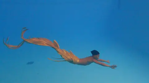 Biarlah #merman #mermaid #mermanindonesia #mermaidindonesia #duyung #siliconetail 