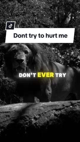 Dont ever try to hurt me. Motivation Quote. #listentothis #motivationaltiktok #motivate #motivated #motivationalvideosforyou #motivationalclip #listentothiseveryday #motivationoftheday #motivation #growbeyondyourlimits #mtivationalvideo #motivationalquotes 
