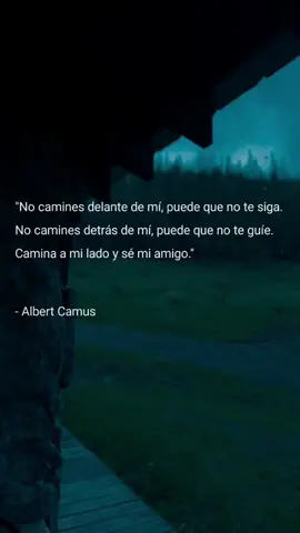camina conmigo se mi amigo.... #frases #poemas #poeta #escritos #albertcamus #filosofia #landscape #stars #dedica #fyp 