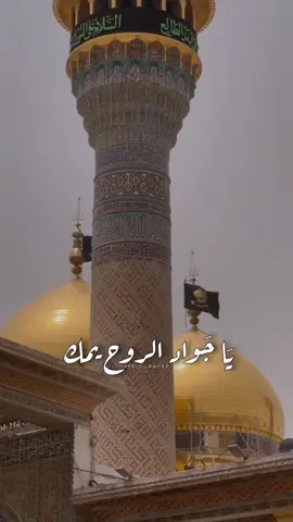 ‏انتَ الجواد ، و أنتَ بابُ المراد - #محمد_الجواد #مأجورين #كربلاء #اكسبلورexplore #اكسبلور #العتبه_الحسينيه_المقدسه #البحرين #النجف #العراق #تصاميم_حسينيه #هاشتاقات_تيك_توك_العرب #هاشتاق #fyp #foryou #viral 