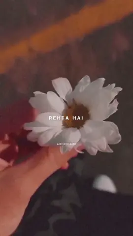 JAANA SAMJHO NA……………….!✨🥺♥️#foryou #foryoupage #aesthetic_asad #support 