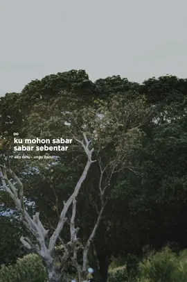 ungu band - aku tahu #CapCut #unguband #akutahu #liriklagu #trend #viral #fyp 