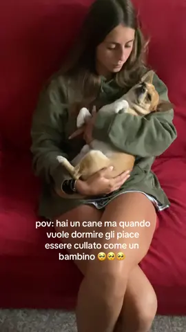 il mio bimbo🥺🐶🐾❤️ #perte #forvou #parati #fyb #viral #fyb #xyzbca #parati #foryoupage #andiamoneiperte #tiktokindia #tiktokindia #fyb> #fyb> #tik #viralsong #perteee #blu #perteeee #siamoneiperte #cane #hugo #chihuahua #chihuahuastiktok 
