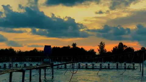 #CapCut #namcancamau#khanhduy1202 