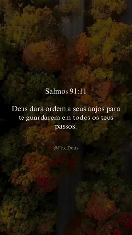 Salmos 91:11 📖❤️‍🔥 #versículodabíblia#salmos #deusefiel#féedeus#Deus #meditacao#bíblia 
