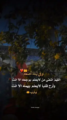 المنشورات حلالكم اخذوا اللي يعجبكم  وادعولي بالتو‏فـ♡ـيق وربي يكفيني شر بني آدم ♥️. #ليلة_الجمعة #farashat_almahadi #اللهم_صلي_على_نبينا_محمد #اللهم_شافي_كل_مريض_وأقضي_حوائجهم #ma #foryoupageofficiall #يارب_فوضت_امري_اليك #ستوريات 