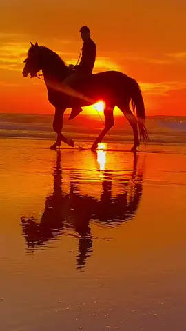 #fypシ #explore #casablanca🇲🇦 #for_you_page #Love #شعب_الصيني_ماله_حل😂😂 #maroco🇲🇦algeria🇩🇿tunisia🇹🇳 #sunset 