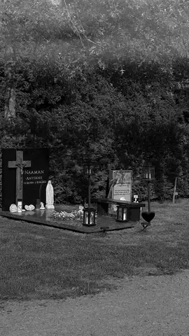 يا طير على القبر لو مريت 🕊😭 #ياطير_عالقبر_لو_مريت🕊😭 #فراق #موت #ستوريات #اغاني_حزينه #ستوريات_اغاني_basel_mh  #fyp #foryou 