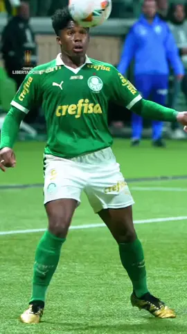 Vai deixar saudade… 💚 @SE Palmeiras @Endrick Felipe  #skills #Libertadores #futebol #tiktokesportes #endrick #palmeiras 