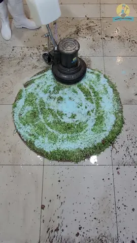 Grass Ball Carpet -ASMR CARPET CLEANING#asmr #cleaning