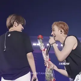 If Chan goes, Seungmin goes too #fyp #skz #straykids #bangchan #seungmin #chanmin 