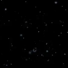 #اخوي_الزود_وحزام_الظهر✌️⚔️ #تصميمي_فيديوهات🎶🎤🎬  #تصميم_شاشة_سوداء 