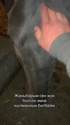 #аламанулак #кыргызстан🇰🇬 #elbruso #fup #rek #пантера 