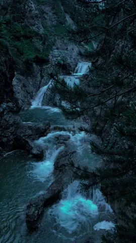 🖤#calm #nature #darkaesthetic #naturephotography #foryou #aesthetic #relax 