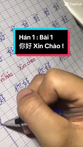 Luyện viết Tiếng Trung  Bài 1 : 你好 07/06/2024 #luyennghetiengtrung   #hoctiengtrung 