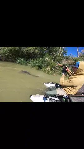 #fishing #pesca #wedkarstwo #catfish #siluro #sum #predatorfish #rivergishing #spinfishing #monsterfish #deporte #sports 