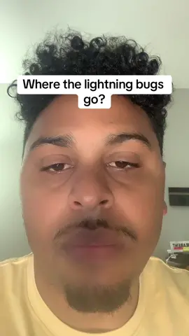 Or fireflies if thats what you call them lol#lightningbugs #question #questions #bugs #foryou #foryoupage #stinkbug 