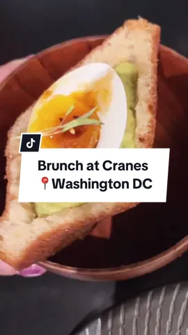 I recently visited Cranes to check out their brunch menu and left wanting to come back ASAP! You can enjoy unlimited brunch plates at $62 per person. #tokdc #dcrestaurants #dcfoodie #dcbrunchspot #tiktokdc #avocadotoast #cranesdc 