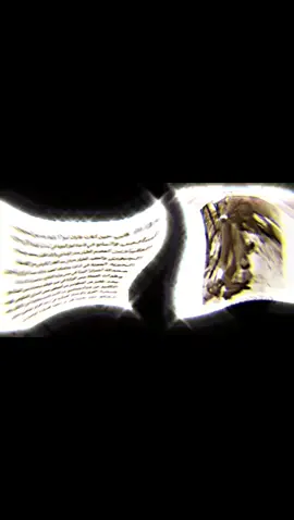 #العراق #تاريخ #زعيم #عبد_الكريم_قاسم  #تاريخ_العراق #جيش_العراق   #جيش_العراقي   زعيم  شهيد عبد الكريم قاسم  #البعث #حزب_البعث_العربي_الاشتراكي   #الحضارة #الثقافة 