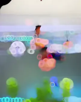 Dragon Ball Z fish tank accessories 🤩 #toddlerstoys #funfortoddlers #playtimefun #toddlersofinstagram #learningthroughplay #toddlertoys #childhoodunplugged #toystory #toddlerlife #imaginativeplay #raisingtoddlers #instagood #explorepage