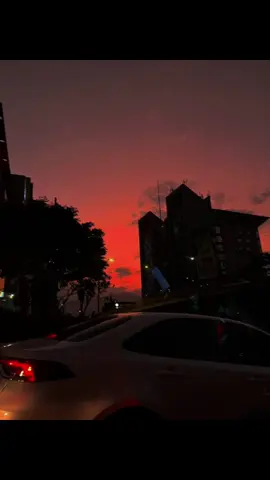 🎵Willie Colón - Asia #williecolón🎺 #asia #parati #dedicar #salsaromantica #viral #letra #edit_video #dedicarvideos♡ #viraltiktok 