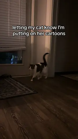 powerpuff girls #catsoftiktok #tiktokcats #PetsOfTikTok #cattok #catwatchingtv 