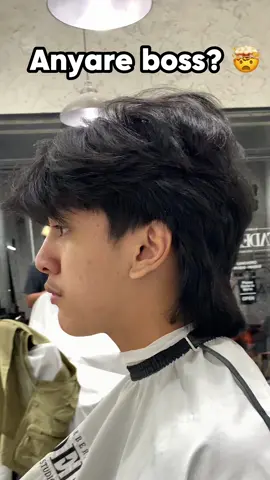 Mullet transformation 🤯 #fyp #mullettransfromation #stiNova #barbershop #barber #barberasia #filipinobarber  #reels #fadeday #midtaperfade #texturedcroptop #qcbarber #cutsbyjani #asianhair #barberasia #barbershop #barberstyle #trendinghairstyle # #burstfade #pompadour
