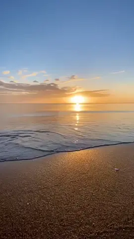 🐟 : selera gw gak serendah itu bang #fypシ #memes #memestiktok #memevideo #memereceh #memengakak #memelucu #asupanmeme #funnymeme #funnyvideos #humortiktok #xyzbca #foryoupage 