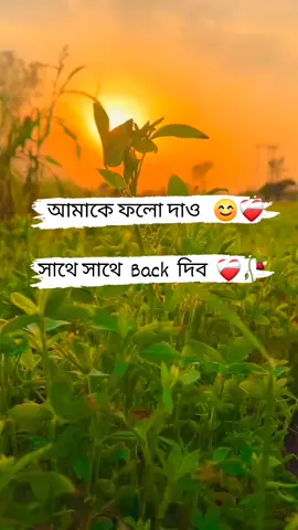 সবাই আমাকে ফলো দাও সাথে সাথে Back দিব 🥀❤️‍🩹