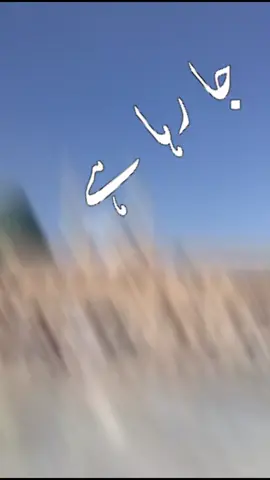 #for_you_ #for_youpage #islamic_video_الله #allah__is__great #fypシ゚viraltiktok☆♡ #fouryoupage_tiktok_ #vairal_video_tiktok_trendin 