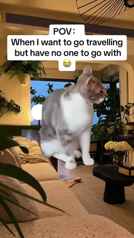 😭#fyp #foryoupage #travel #Meme #MemeCut 
