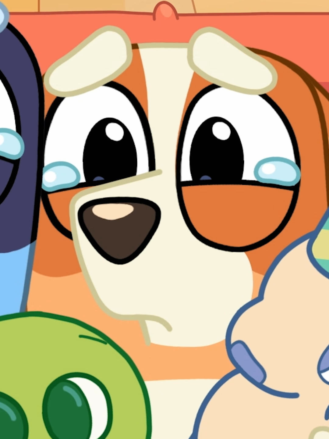 Bluey's guide to the perfect serious face 🥺 #blueytok