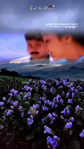 Melliname#manisharmamusic#thalapatyvijay#arrahman#kalaicreation #tamilbgm #Orchestra #goosebumps #arrahmanbgm #tamilsong #indianbgm#fyp#fypシ゚viral #foryou #foryoupage #viral#trending #tiktokindia #tiktokmalaysia🇲🇾 #tiktoktamil